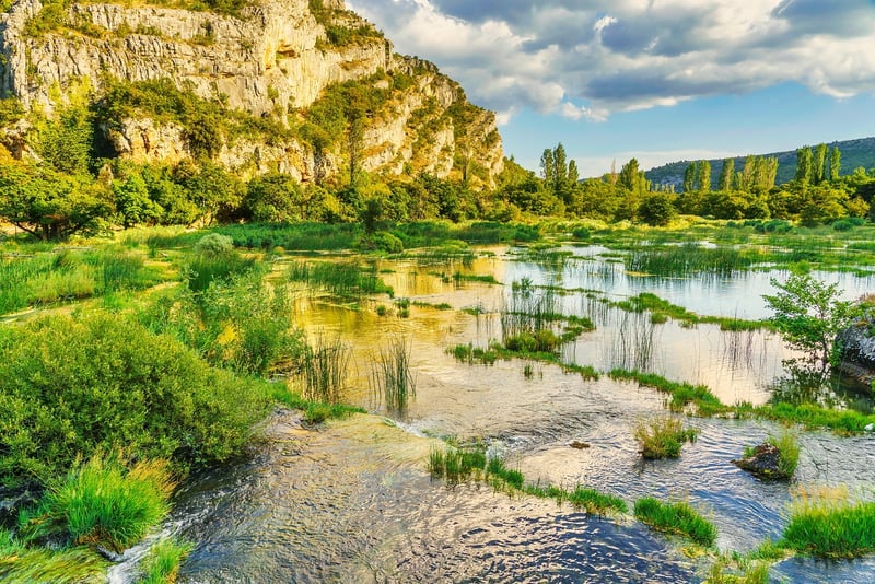 River Reflections