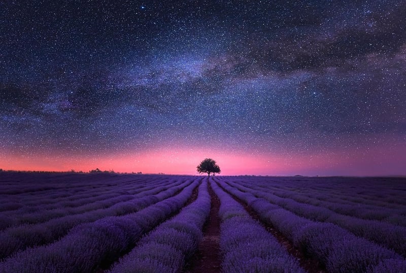 Tranquil Space